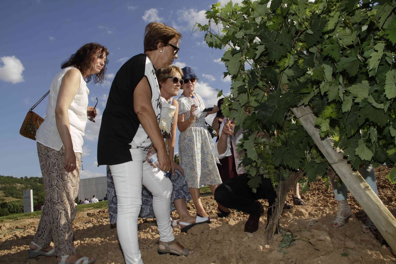 La Bodega Cepa 21 abre sus puertas al Club de Catas de El Norte de Castilla (1/2)