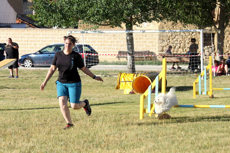Exhibición canina en Hornillos (Palencia)