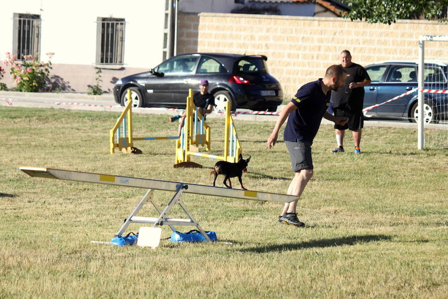 Exhibición canina en Hornillos (Palencia)