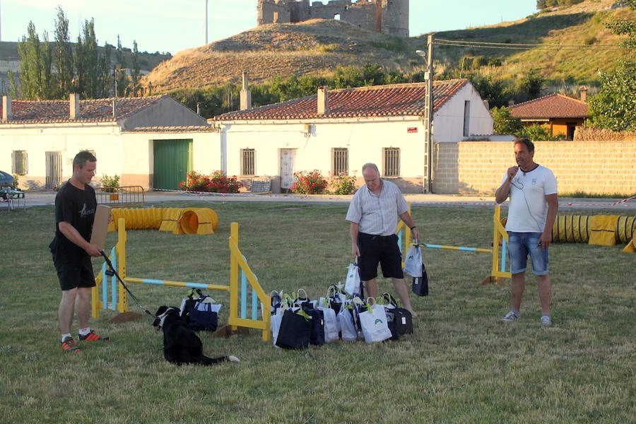 Exhibición canina en Hornillos (Palencia)