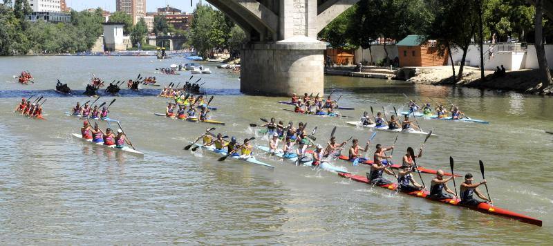 Regata k-4 en el río Pisuerga