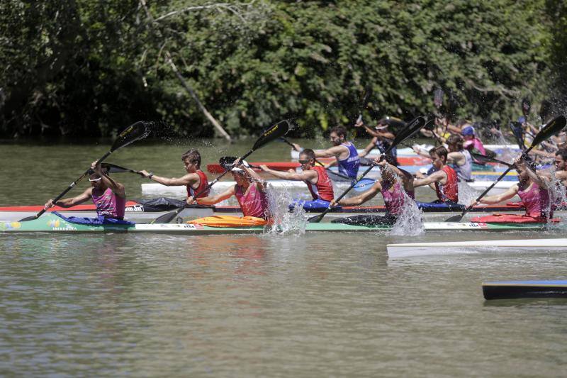 Regata k-4 en el río Pisuerga