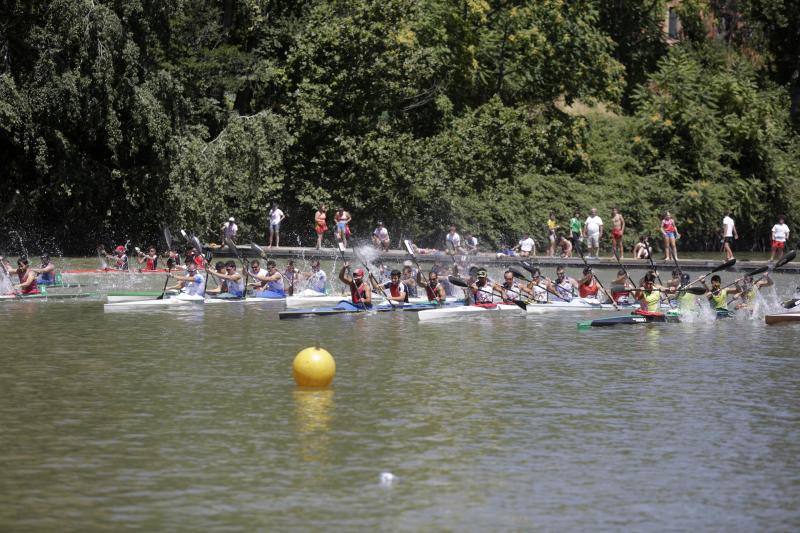 Regata k-4 en el río Pisuerga