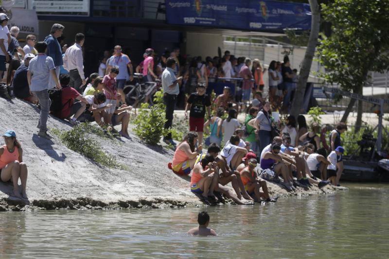 Regata k-4 en el río Pisuerga