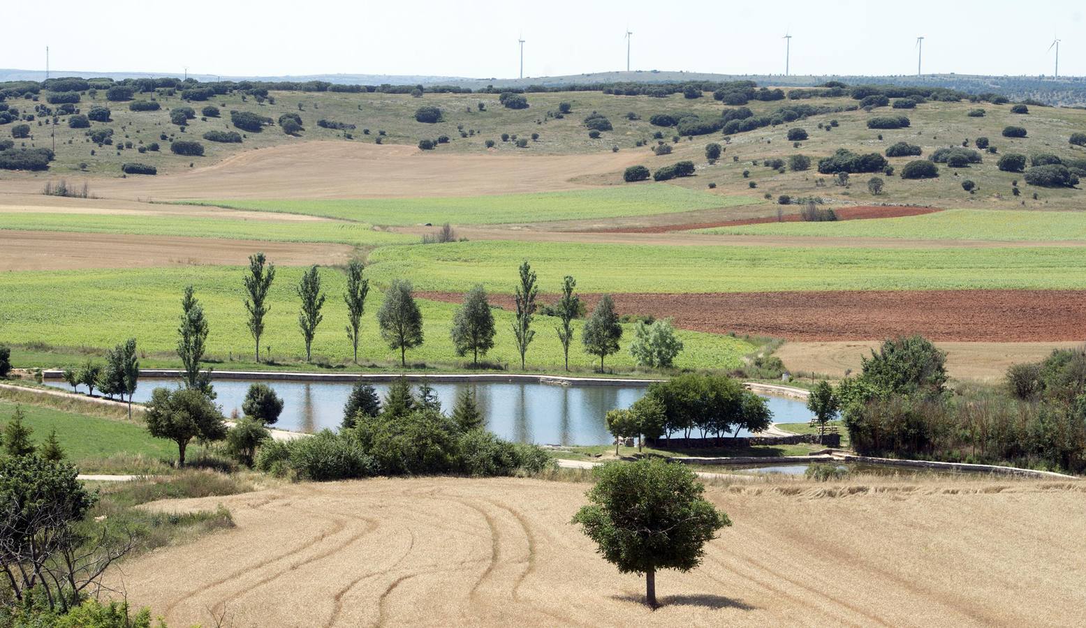 Laguna de Cernégula (Burgos). La localidad burgalesa de Cernégula tiene a bien ser conocida como 'el pueblo de las brujas'. Cuenta la leyenda, que en la laguna de este pequeño municipio se reunían las brujas de toda Castilla para realizar aquelarres y poner en común las últimas recetas mágicas aprendidas.