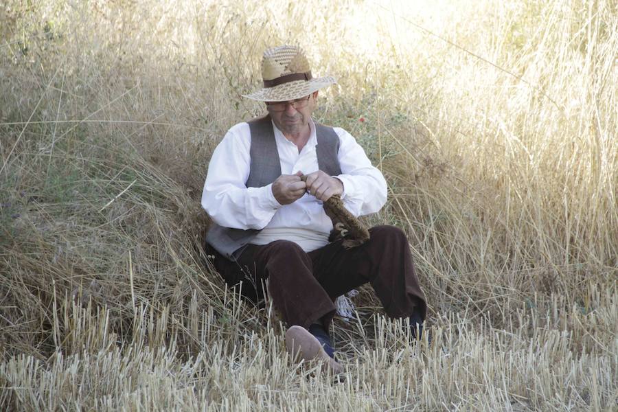 XIII Aniversario del Día de la Siega en Castrillo de Duero (Valladolid)