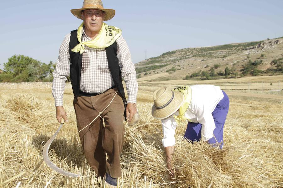 XIII Aniversario del Día de la Siega en Castrillo de Duero (Valladolid)