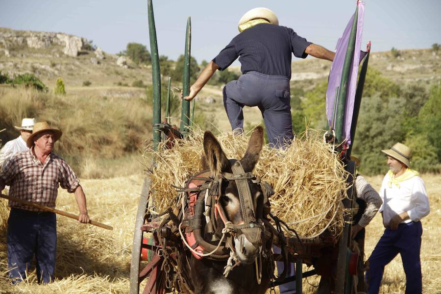 XIII Aniversario del Día de la Siega en Castrillo de Duero (Valladolid)