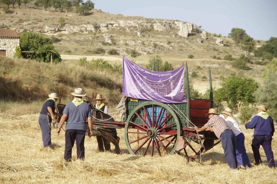 XIII Aniversario del Día de la Siega en Castrillo de Duero (Valladolid)