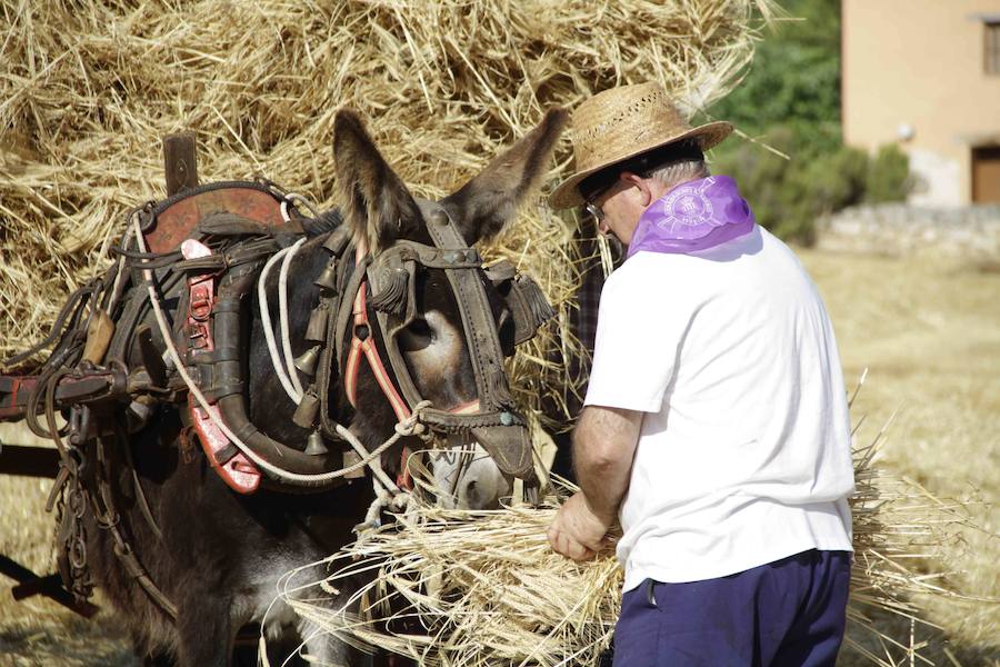 XIII Aniversario del Día de la Siega en Castrillo de Duero (Valladolid)