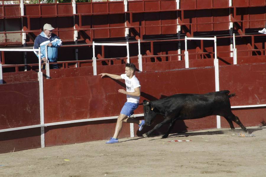 Capea y primer encierro en Campaspero