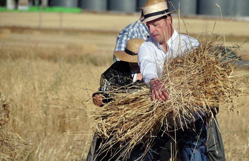 Fiesta de la siega en Nava del Rey