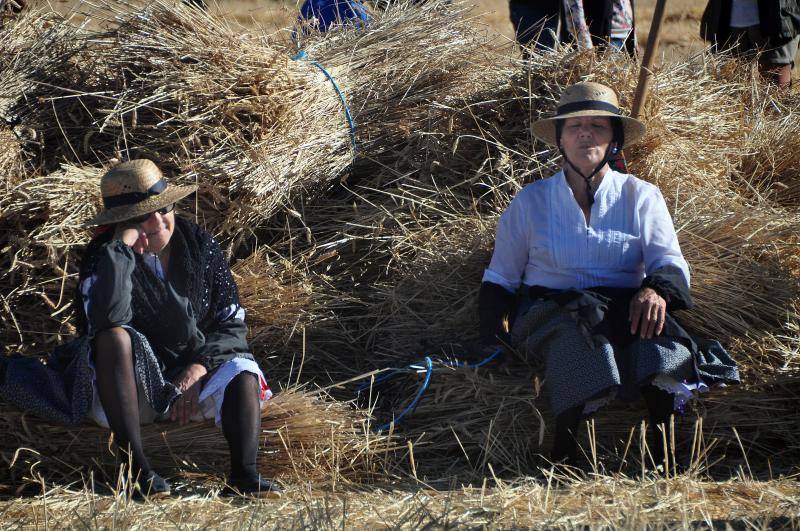 Fiesta de la siega en Nava del Rey