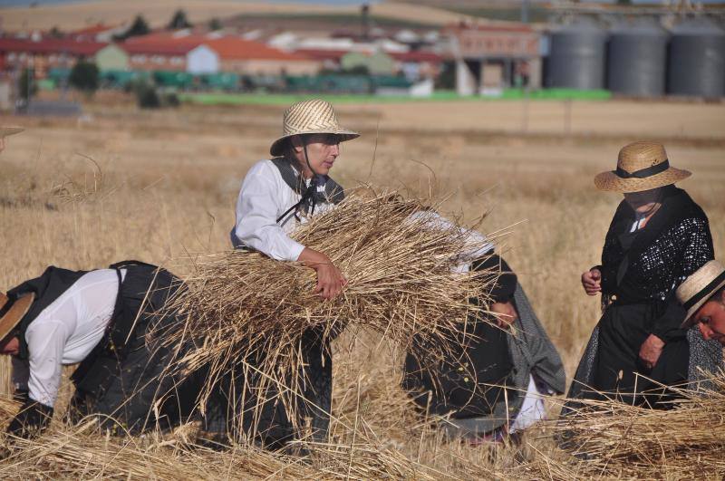 Fiesta de la siega en Nava del Rey