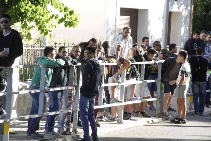 Segundo encierro y capea matinal en Campaspero