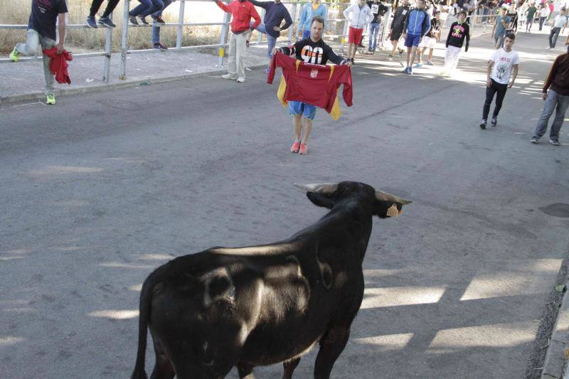 Segundo encierro y capea matinal en Campaspero