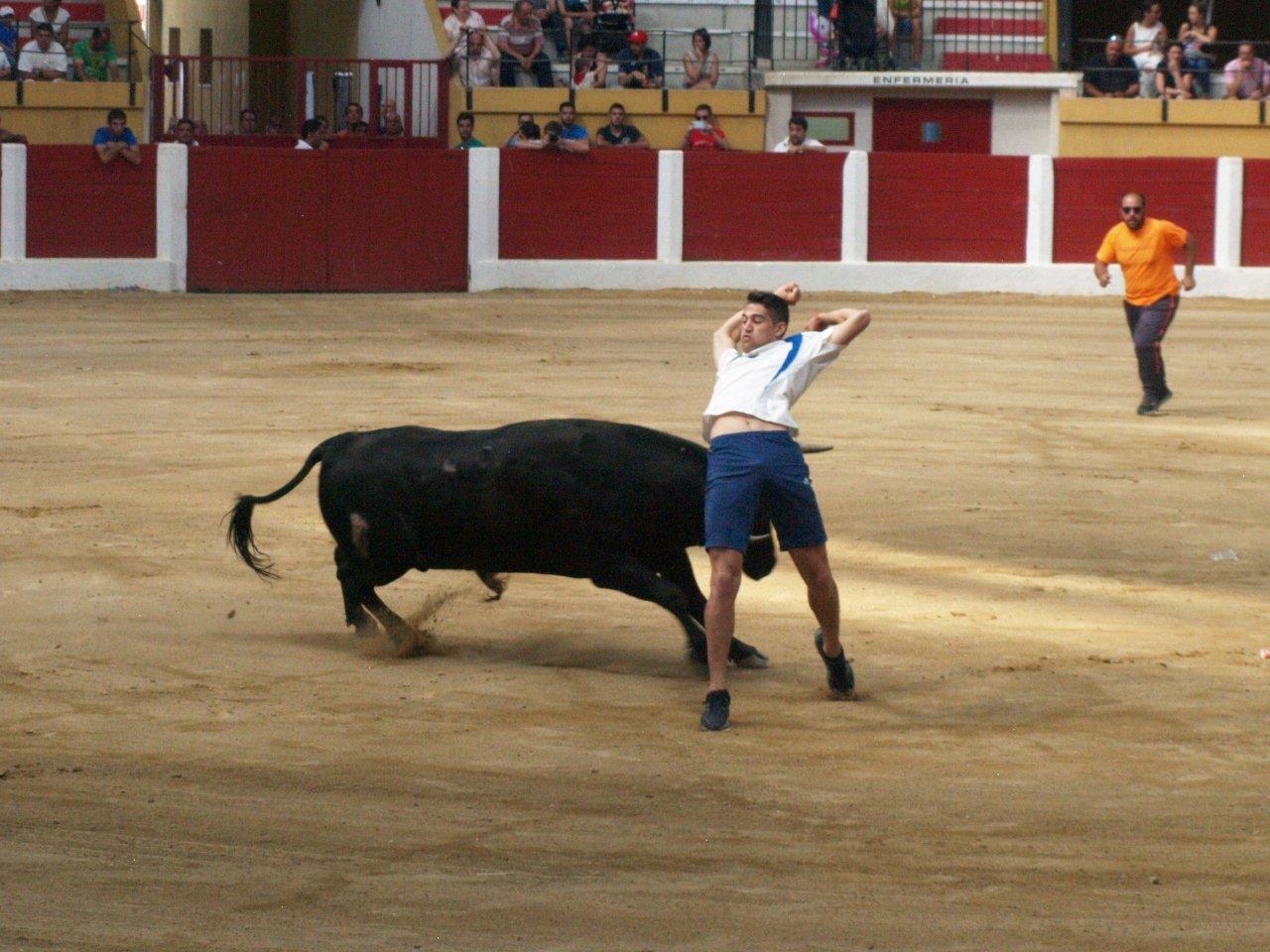 Encierro campero y probadilla en las fiestas de Íscar