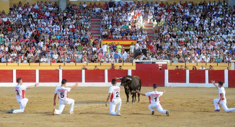 Cortes de novillos en Íscar