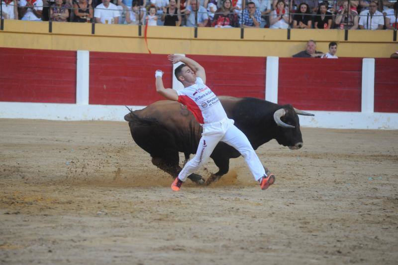 Cortes de novillos en Íscar