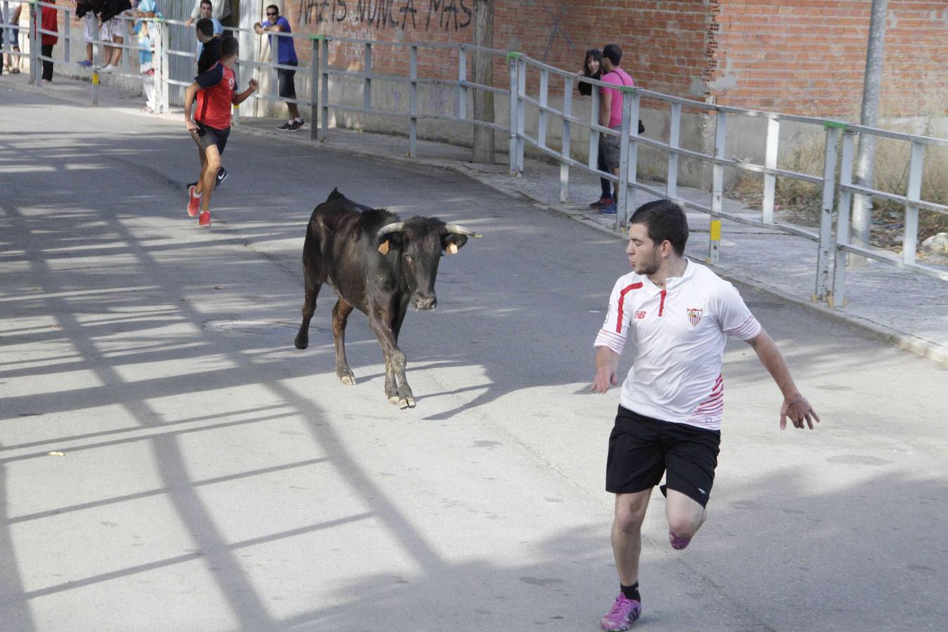 Tercer y último encierro de las fiestas de Campaspero