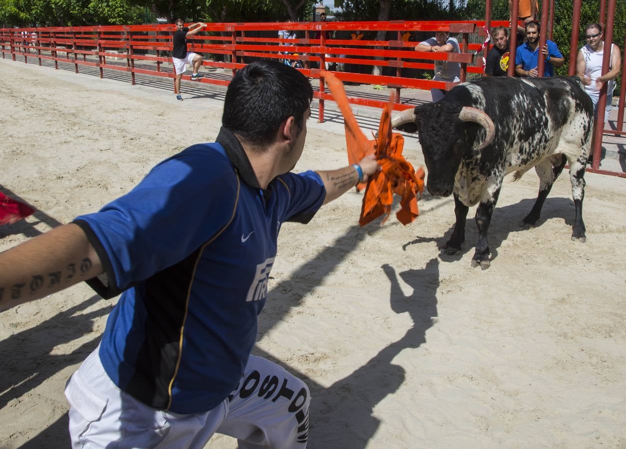 Encierro en las fiestas de Viana de Cega