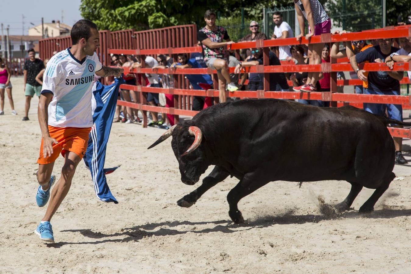 Encierro en las fiestas de Viana de Cega