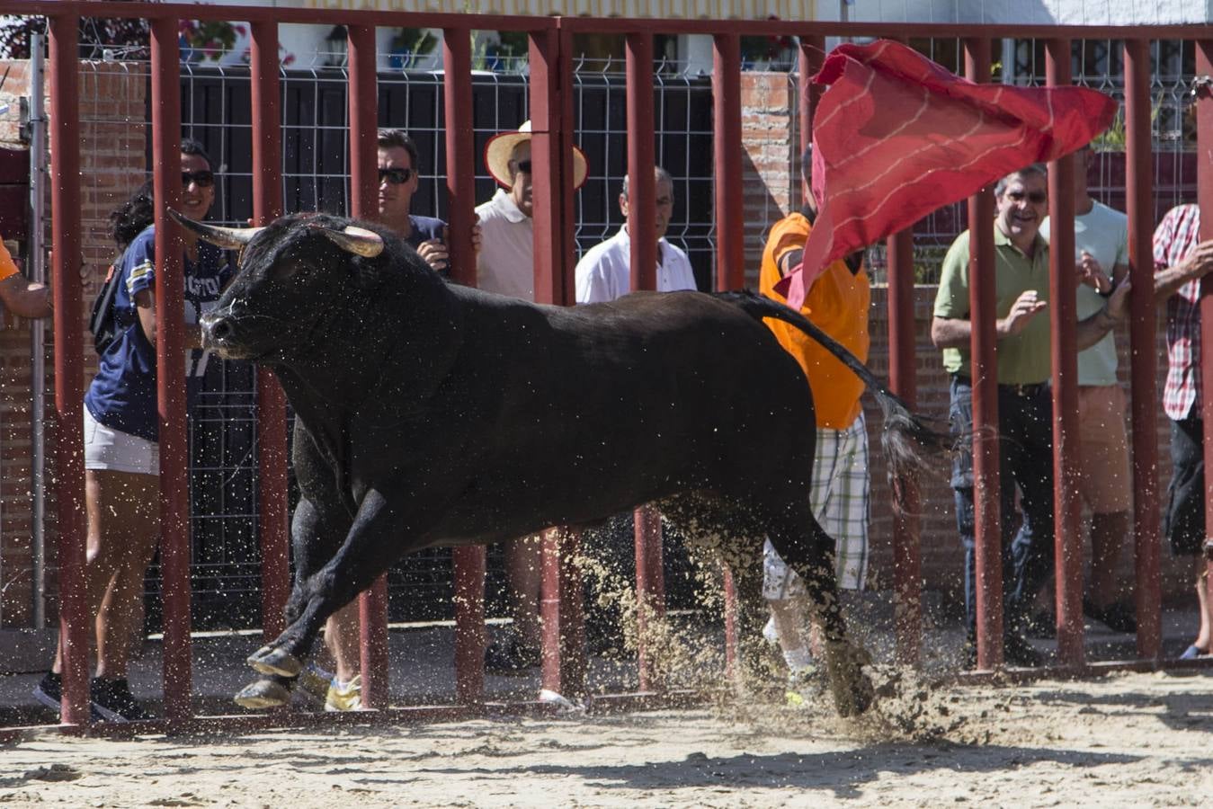 Encierro en las fiestas de Viana de Cega