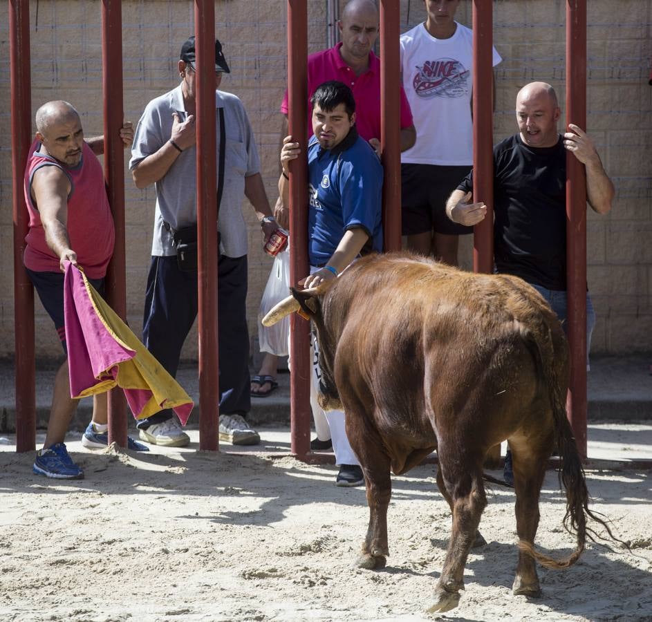 Encierro en las fiestas de Viana de Cega