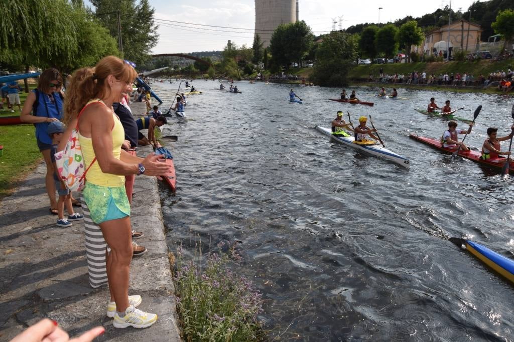 Regata Internacional de Velilla del Río Carrión