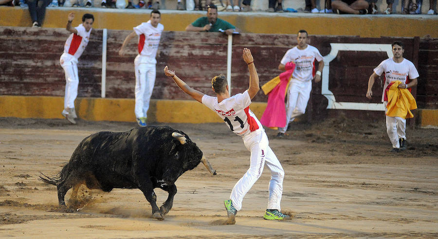Concurso de recorte libre en Pollos