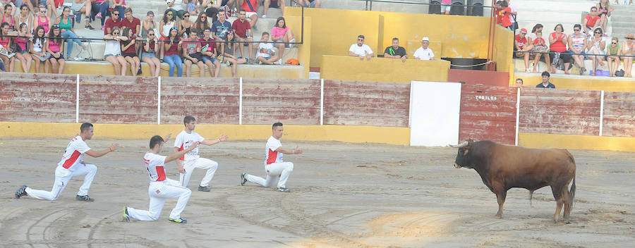 Concurso de recorte libre en Pollos