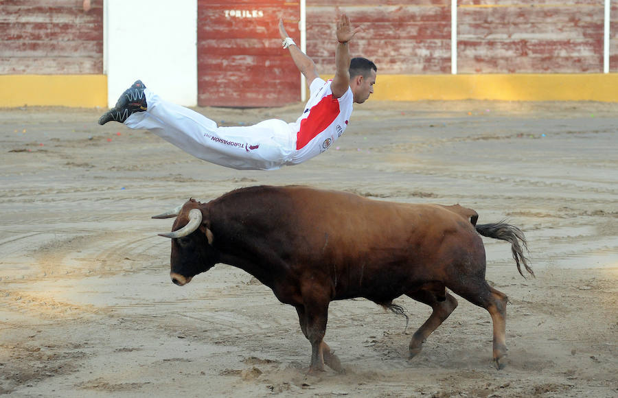 Concurso de recorte libre en Pollos