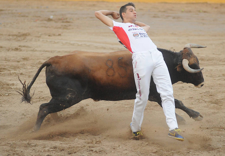 Concurso de recorte libre en Pollos