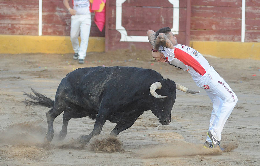 Concurso de recorte libre en Pollos