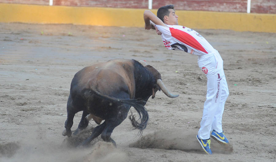 Concurso de recorte libre en Pollos