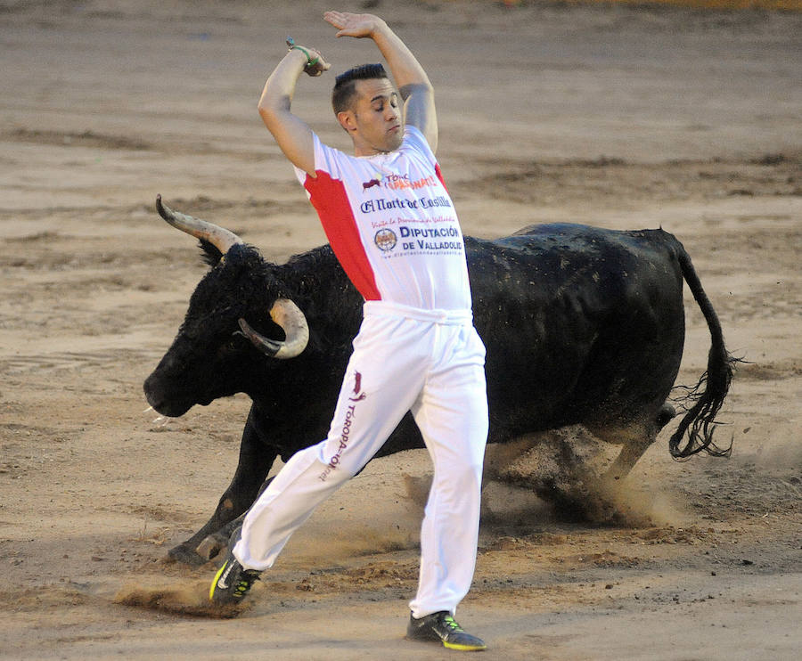 Concurso de recorte libre en Pollos