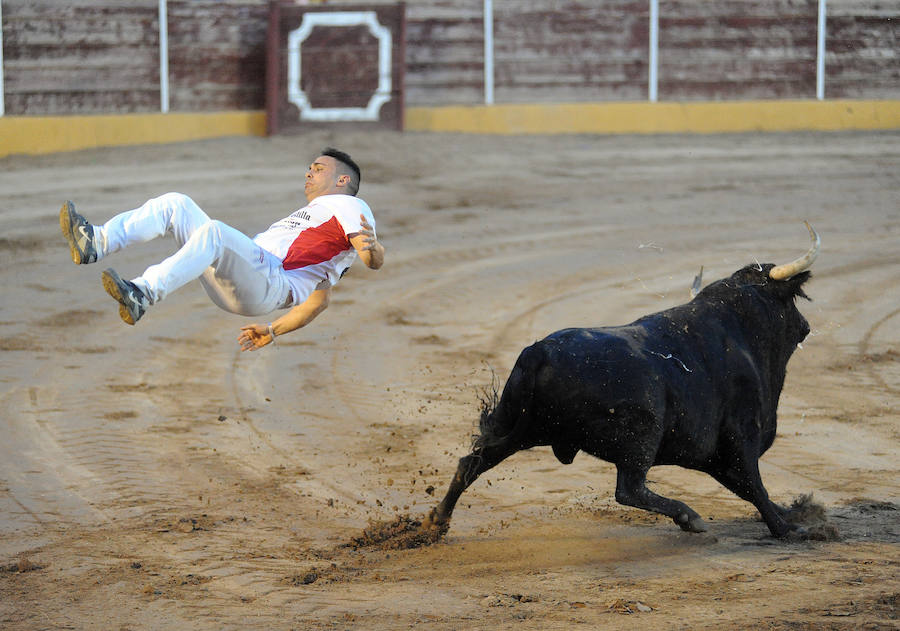 Concurso de recorte libre en Pollos