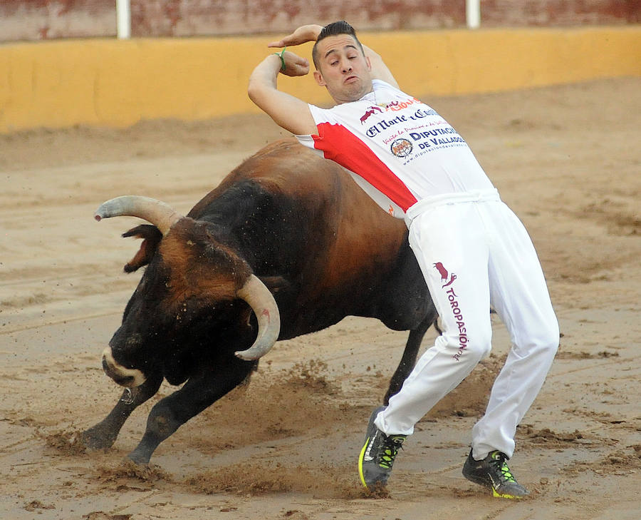 Concurso de recorte libre en Pollos