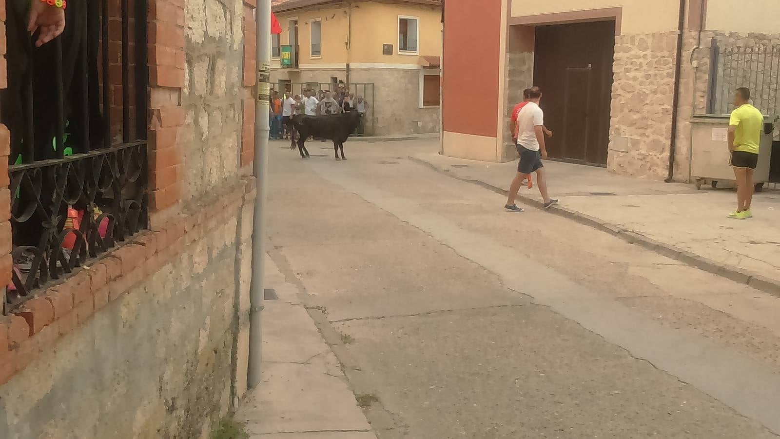 Segundo encierro de las fiestas de Wamba (Valladolid)