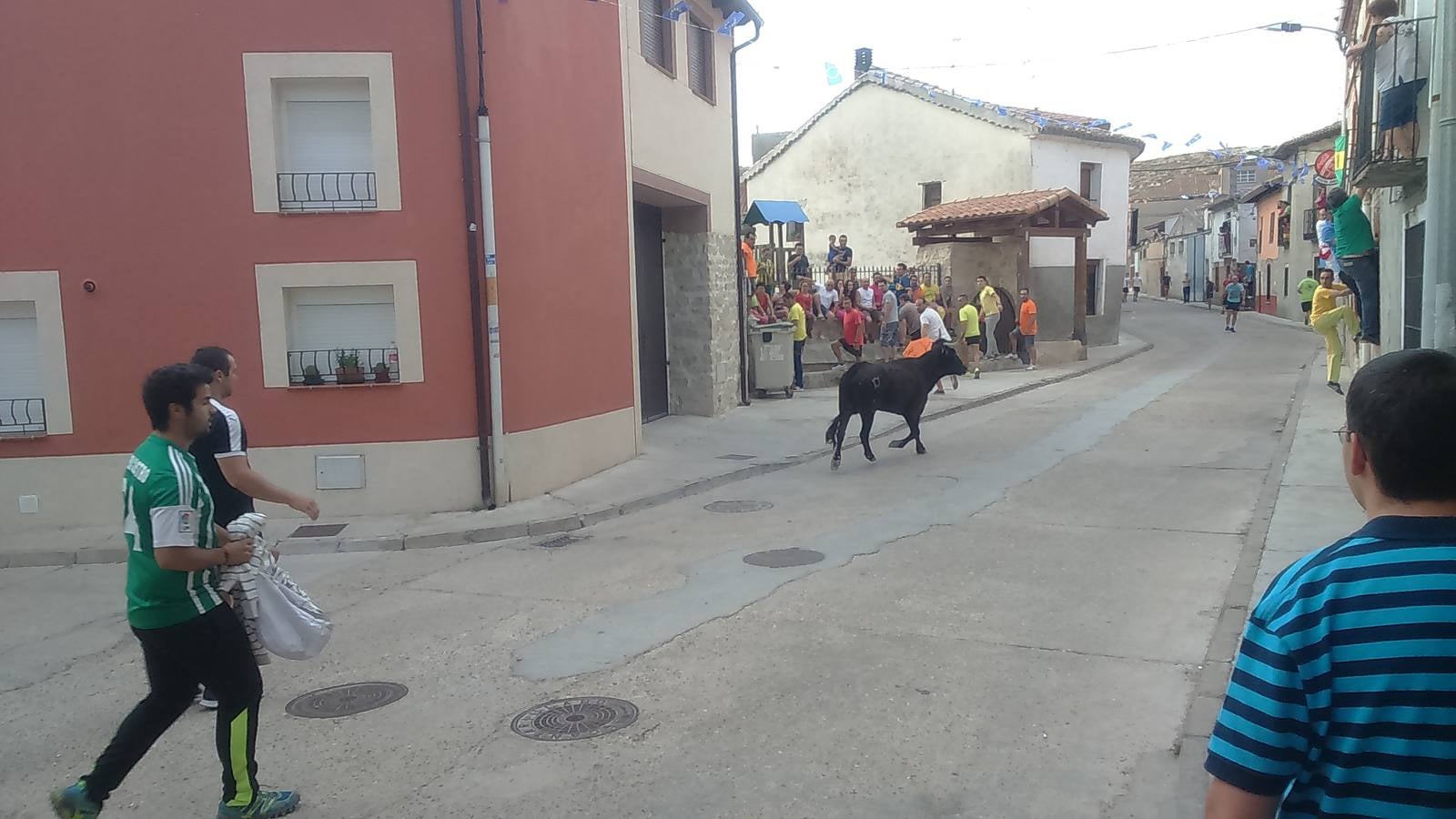 Segundo encierro de las fiestas de Wamba (Valladolid)