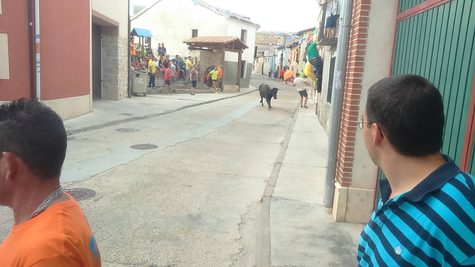 Segundo encierro de las fiestas de Wamba (Valladolid)