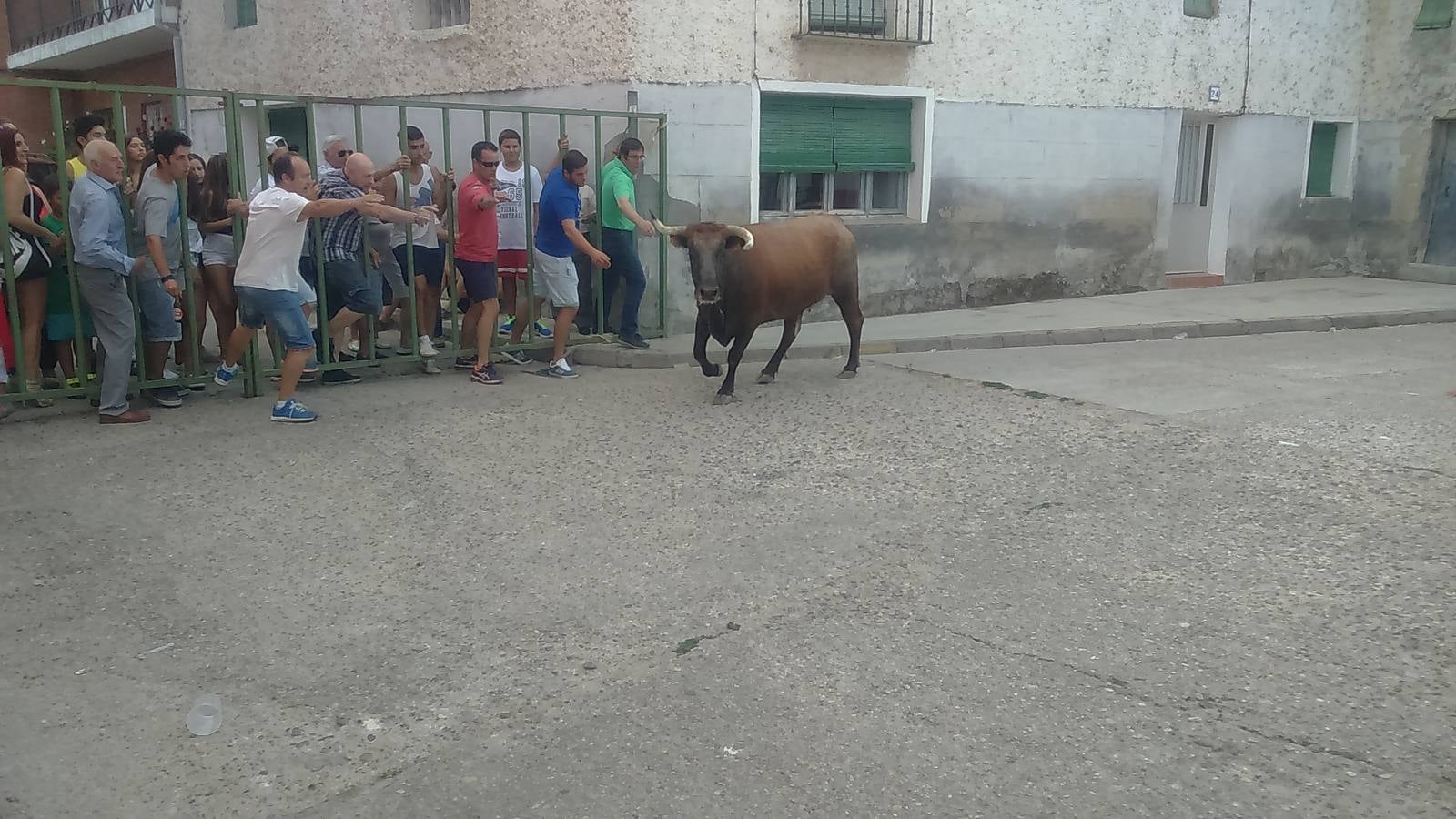 Segundo encierro de las fiestas de Wamba (Valladolid)