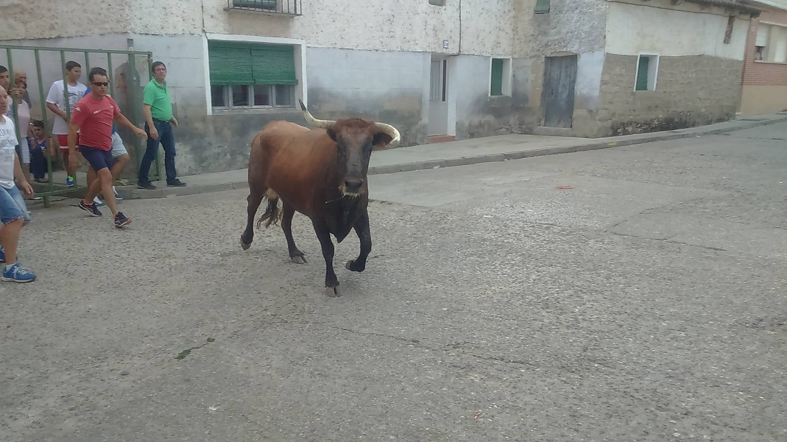 Segundo encierro de las fiestas de Wamba (Valladolid)