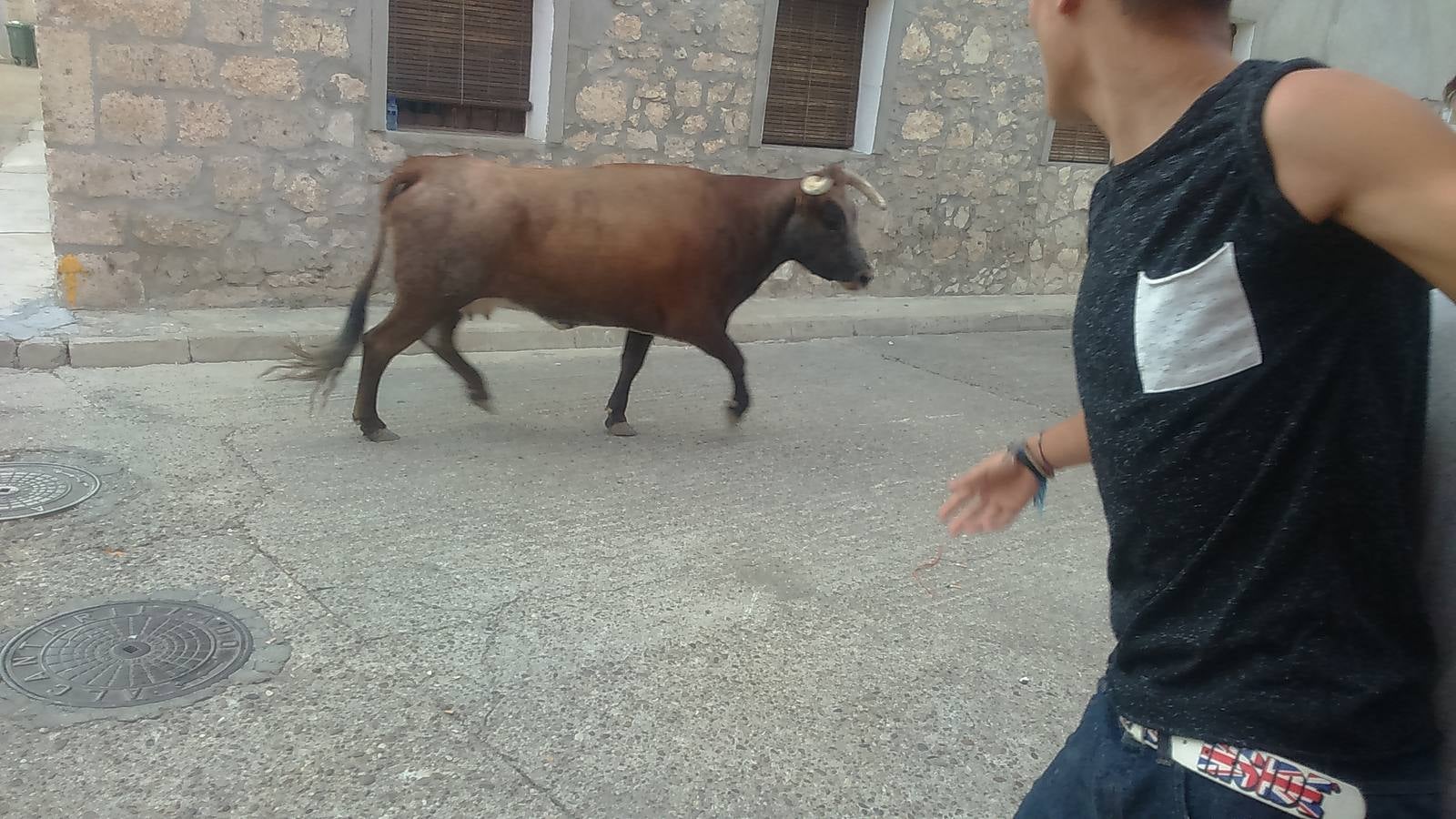 Segundo encierro de las fiestas de Wamba (Valladolid)