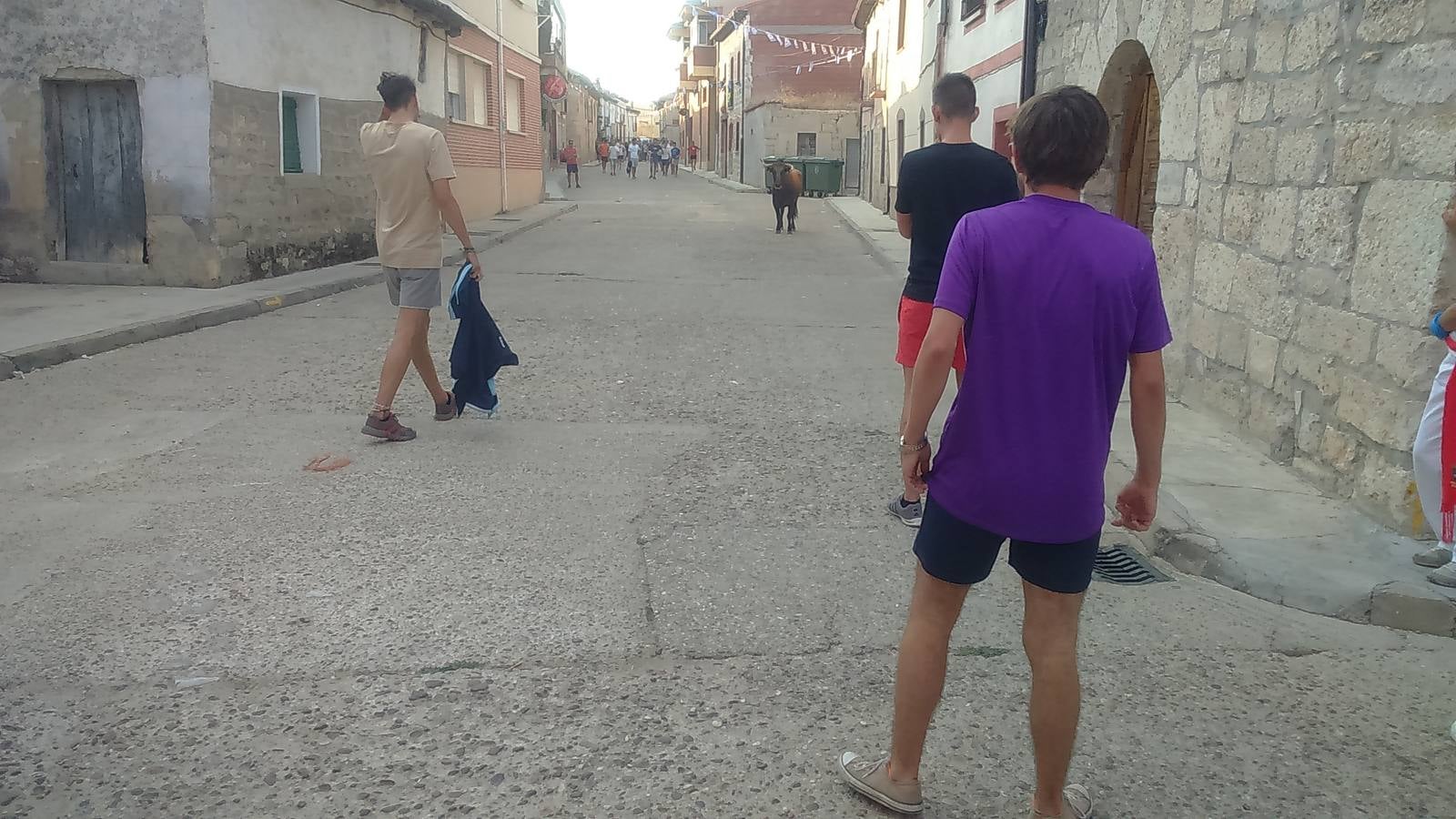 Segundo encierro de las fiestas de Wamba (Valladolid)