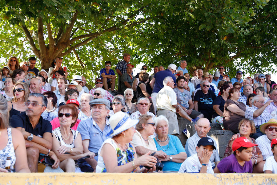 Feria Taurina de Linares de Riofrío