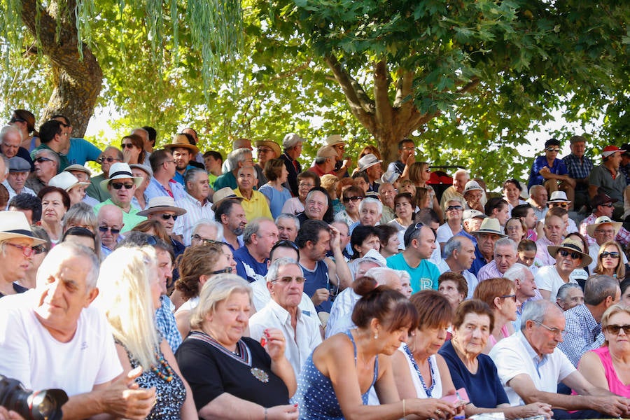 Feria Taurina de Linares de Riofrío