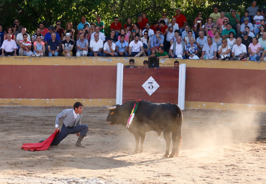 Feria Taurina de Linares de Riofrío