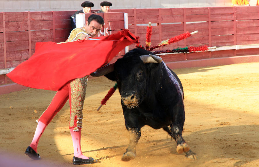 Corrida en Cantalejo en honor a Víctor Barrio (2/2)