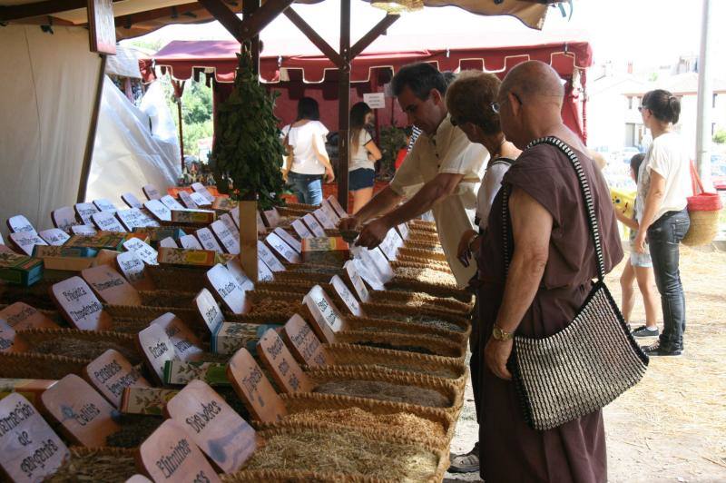 La fiesta Cuéllar Mudéjar